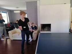 pingpong