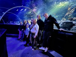 Sealife